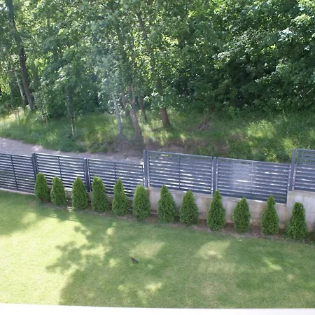 Amiro Πανσιόν